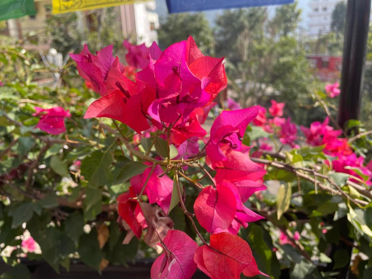 טאפובן Orchid Hostel And Hotel מראה חיצוני תמונה